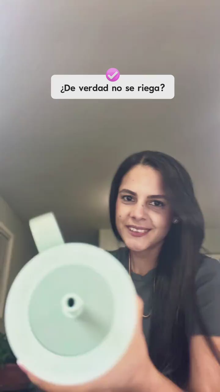 arletisabreulores1.mp4